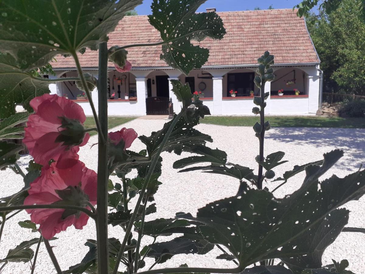 Letunt Idok Vendeghaz Βίλα Kemenesmihalyfa Εξωτερικό φωτογραφία